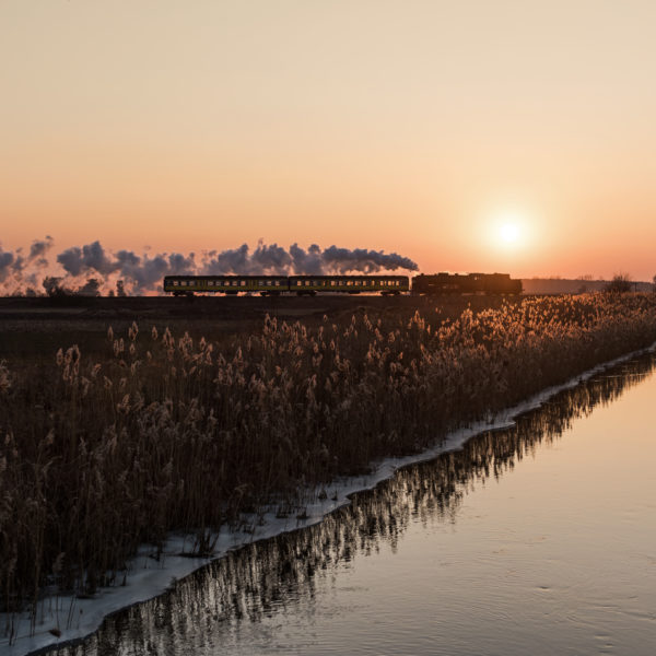 wśród tataraków