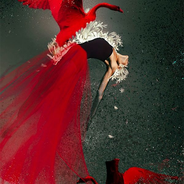 Red Swan