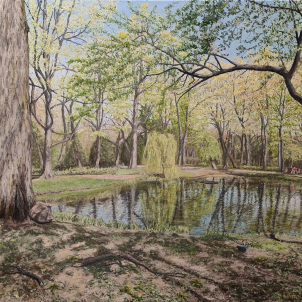 Parkowy staw
